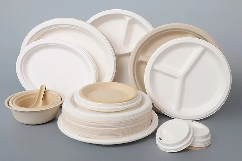 Disposable Paper Tableware_HGHY