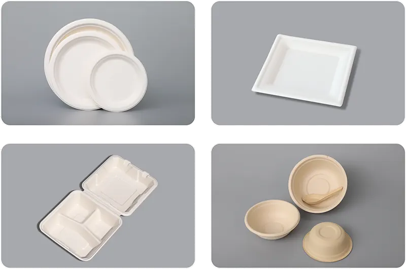 应用制品2_纸浆模塑手动餐具机_华工环源
